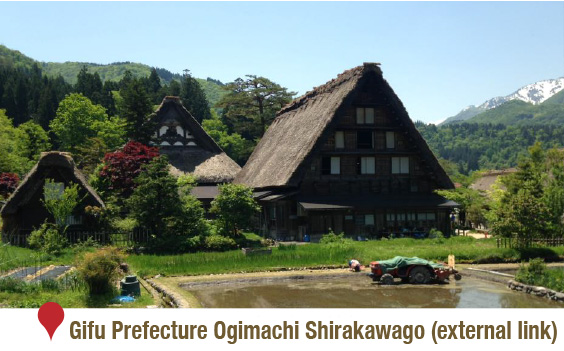 Gifu Prefecture Ogimachi Shirakawago (external link)